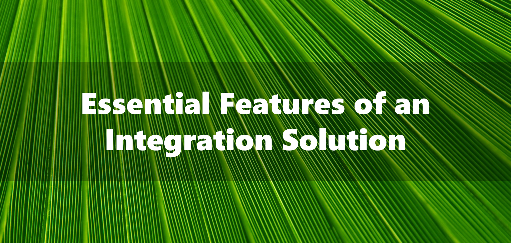 essential-features-integration-solution